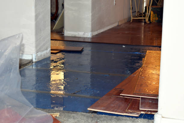 Professional Basement Flood Cleanup technician working in Palms, MI