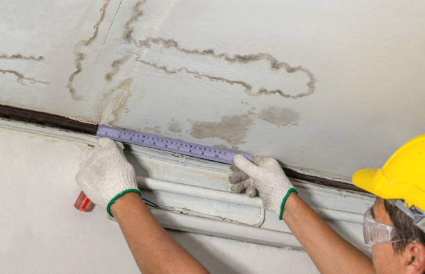 Reliable Basement Flood Cleanup contractor in Palms, MI by Aqua Guard Water Damage